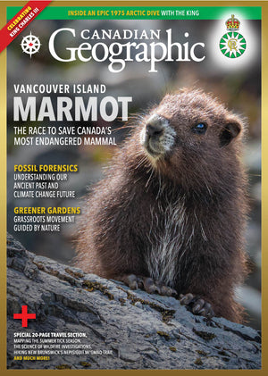 
            
                Load image into Gallery viewer, May/June 2023 | Vancouver Island Marmot
            
        