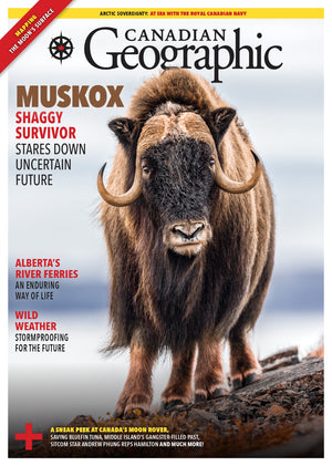 July/August 2023 | Muskox