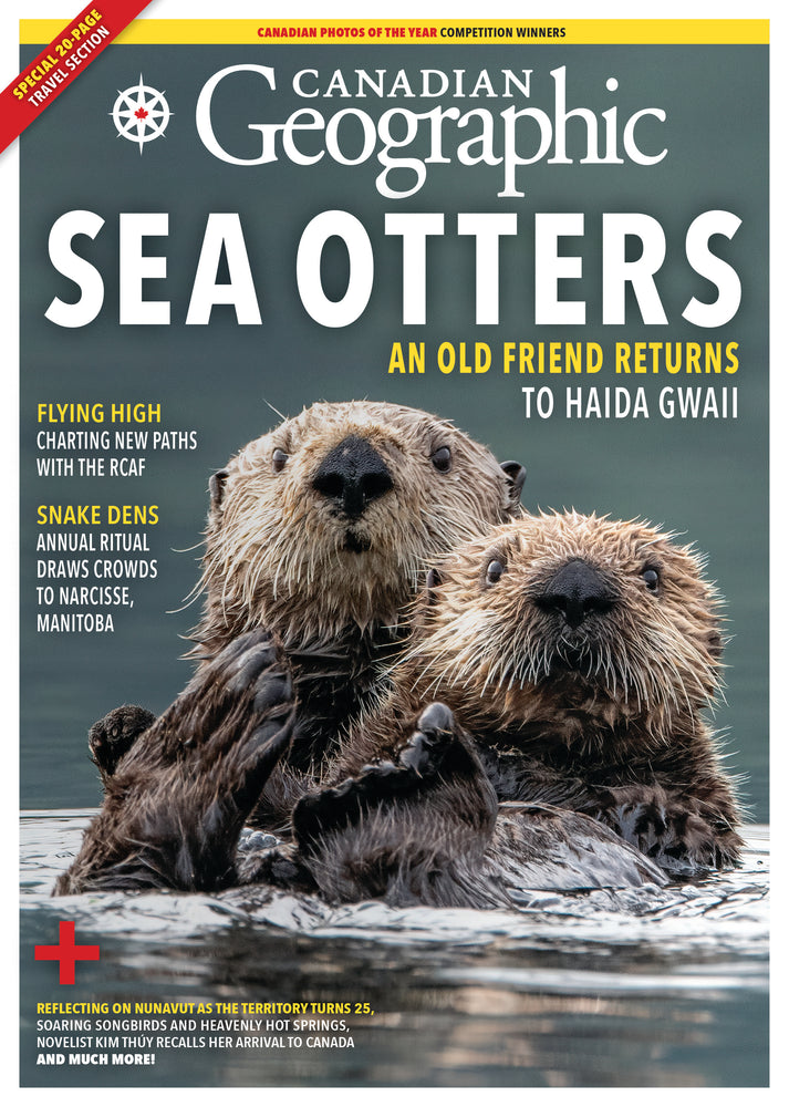 March/April 2024 | Sea Otters
