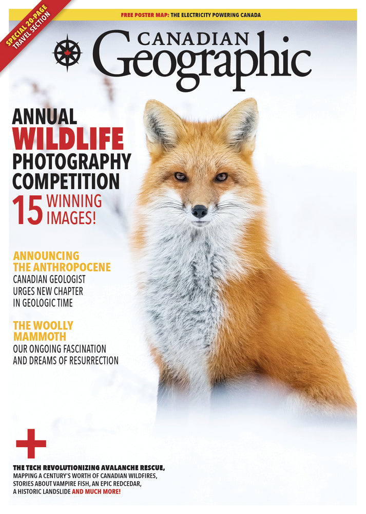 
            
                Load image into Gallery viewer, November/December 2023 | Annual Wildlife Photography Competition
            
        