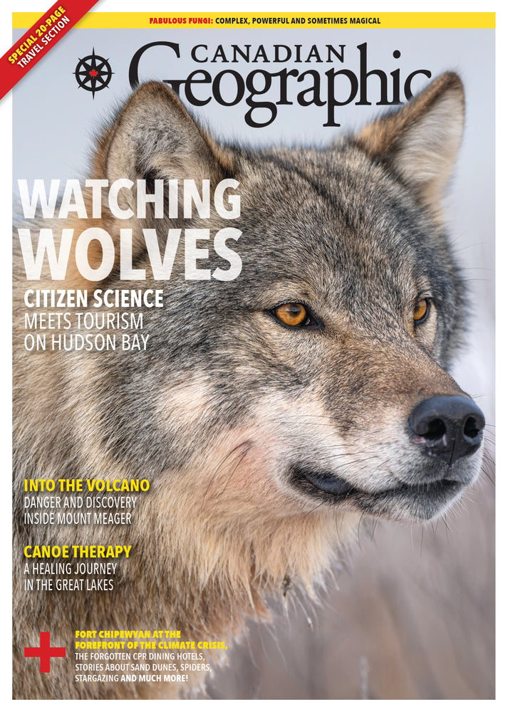 September/October 2023 | Watching Wolves