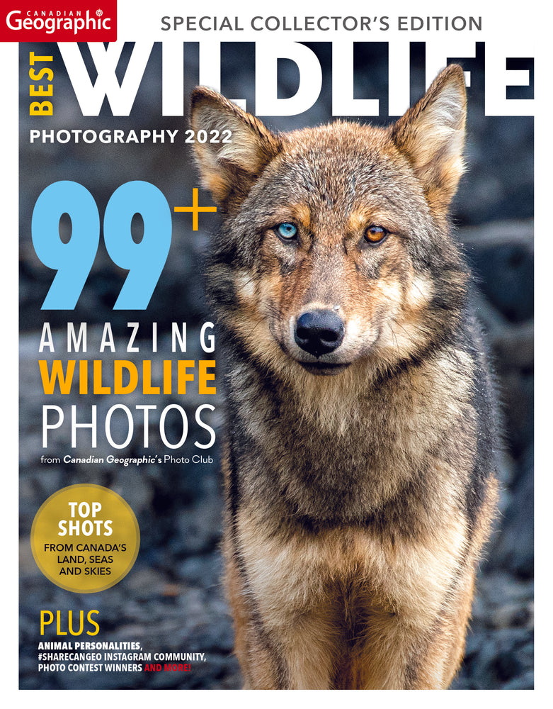 Wildlife Photography 2022 (Print Issue)