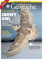 November/December 2022 | The Iconic Snowy Owl