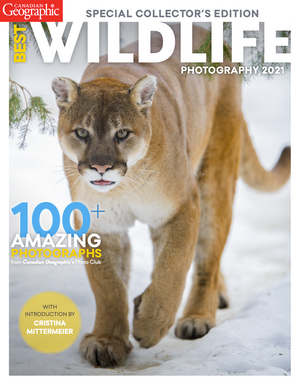 Wildlife Photography 2021 (Digital Issue)