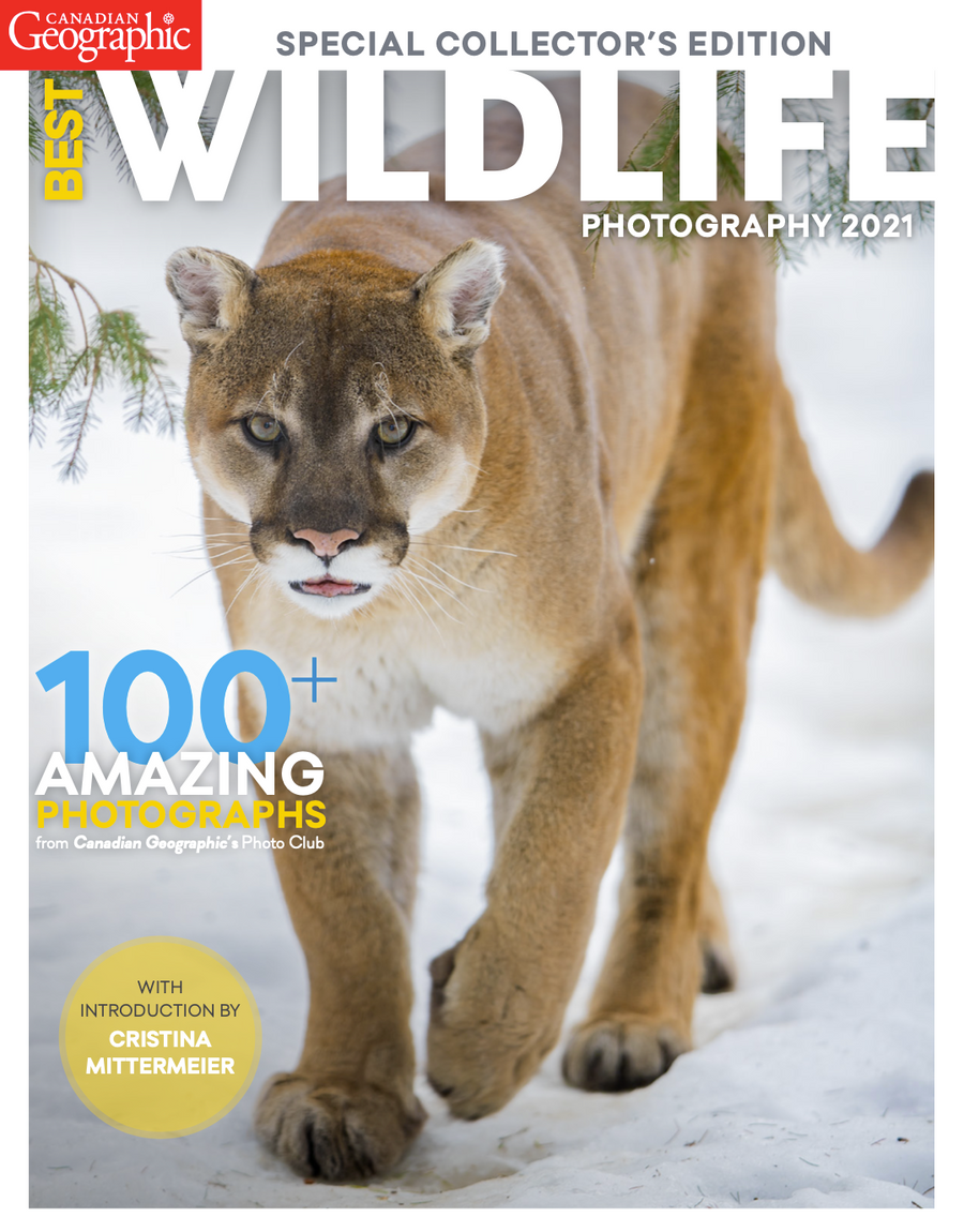 Wildlife Photography 2021 (Digital Issue) – Canadian Geographic