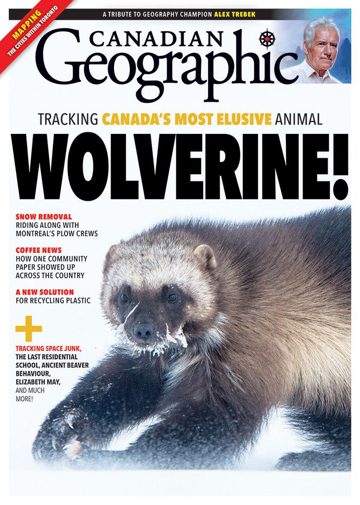 
            
                Load image into Gallery viewer, January/February 2021 | WOLVERINE
            
        