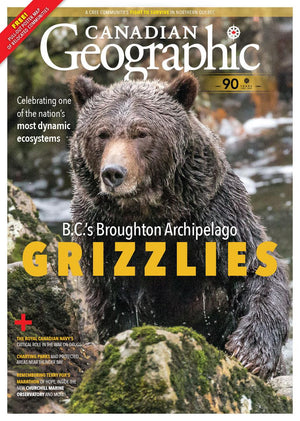 Mar/Apr 2020 | B.C.’s Broughton Archipelago Grizzlies