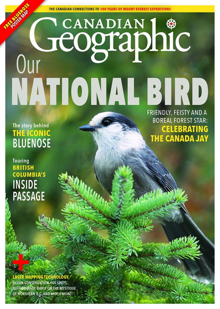 March/April 2021 | Our National Bird
