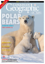 Nov/Dec 2020 | Polar Bears